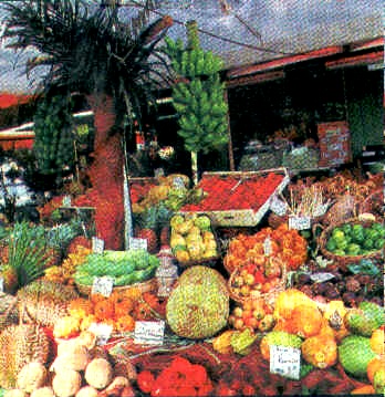 Exotischer Früchtemarkt in Münchern "Exoten-Müller"