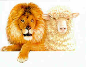 Der Löwe wird neben dem Lamm liegen